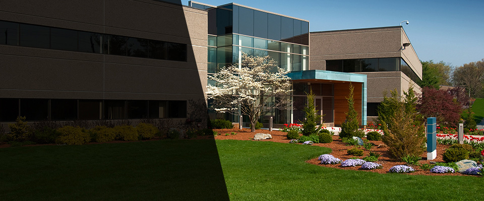 Dauphin Landscapers