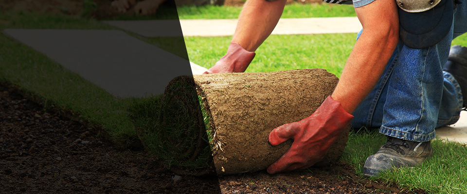 Dauphin Landscapers